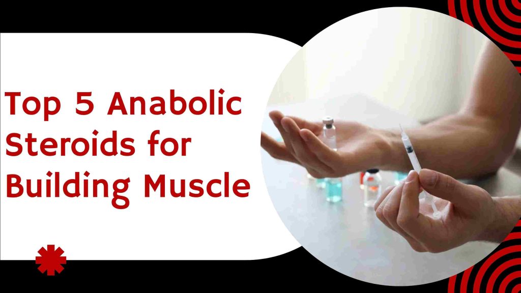 Top 5 Anabolic Steroids for Building Muscle