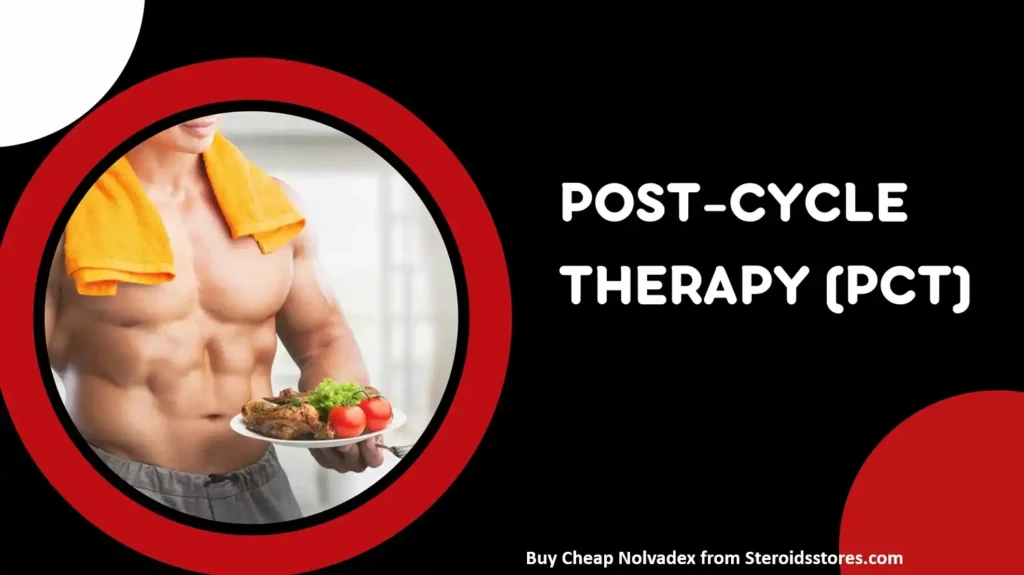 PCT (Post-Cycle Therapy): Why It’s Essential for Steroid Users